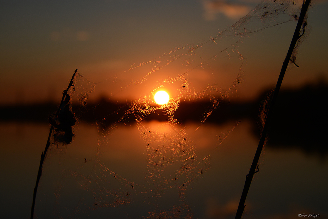 photo "***" tags: landscape, nature, sunset