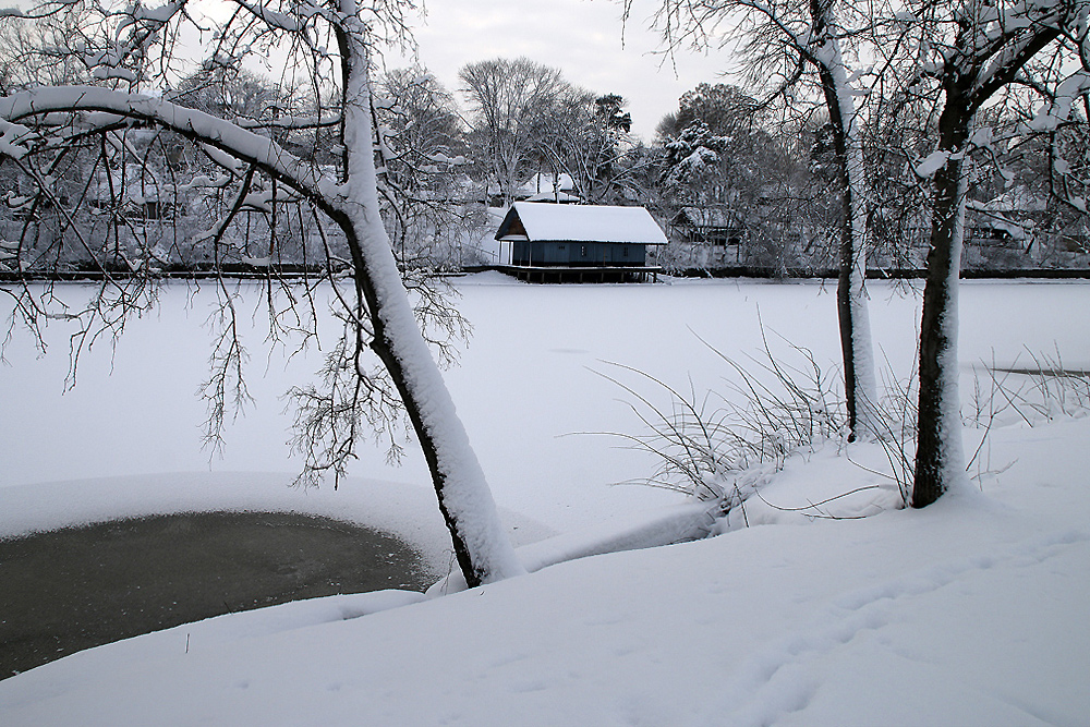 photo "Frozen lake" tags: landscape, lake, snow, trees, winter