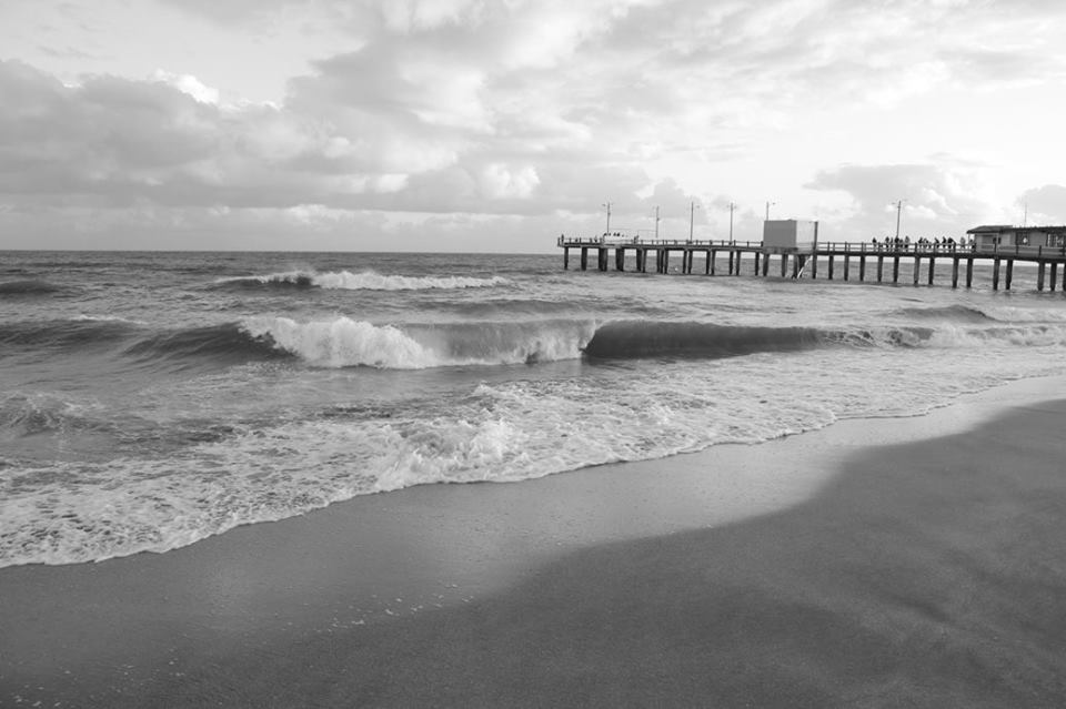 photo "Afternoon" tags: black&white, 