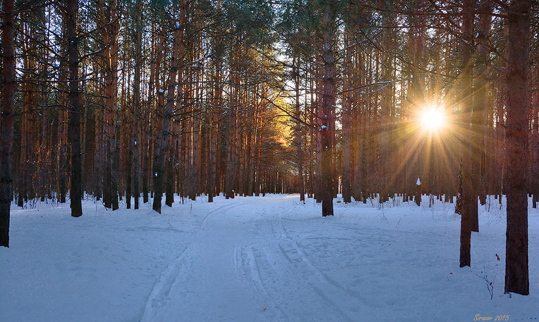 фото "В январе" метки: пейзаж, природа, 