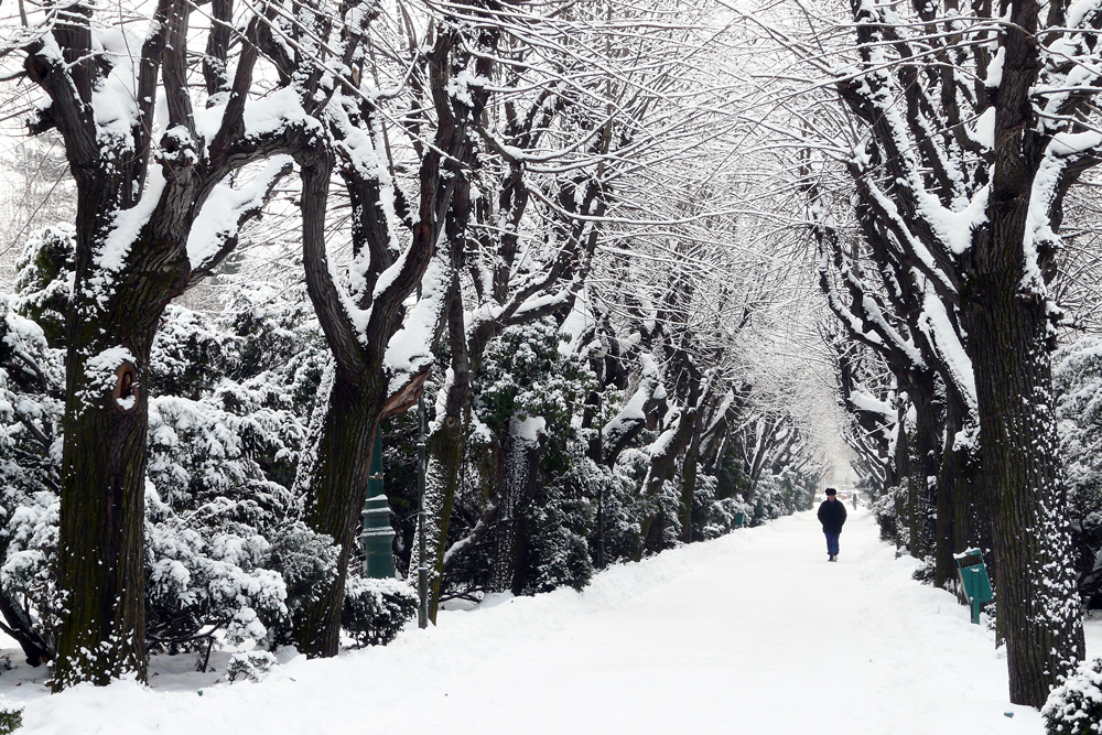 photo "Alone in the park" tags: landscape, Bucharest, park, snow, walk, winter