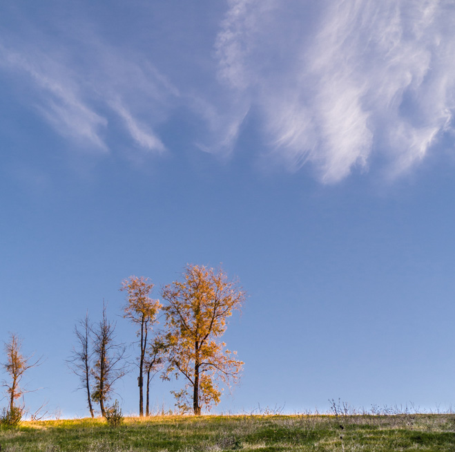 photo "Поздняя Осень" tags: landscape, nature, autumn, fall