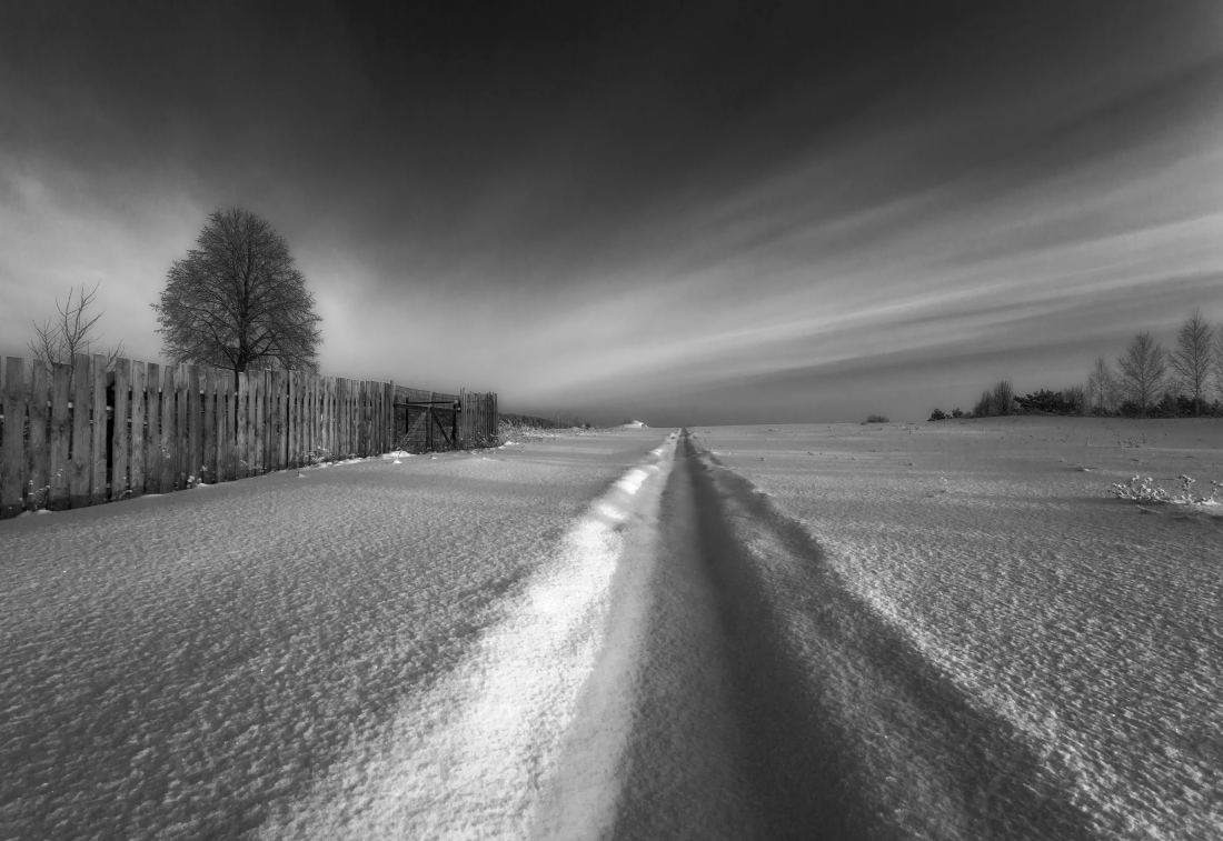 photo "***" tags: black&white, landscape, Снег тропинка забор деревья об