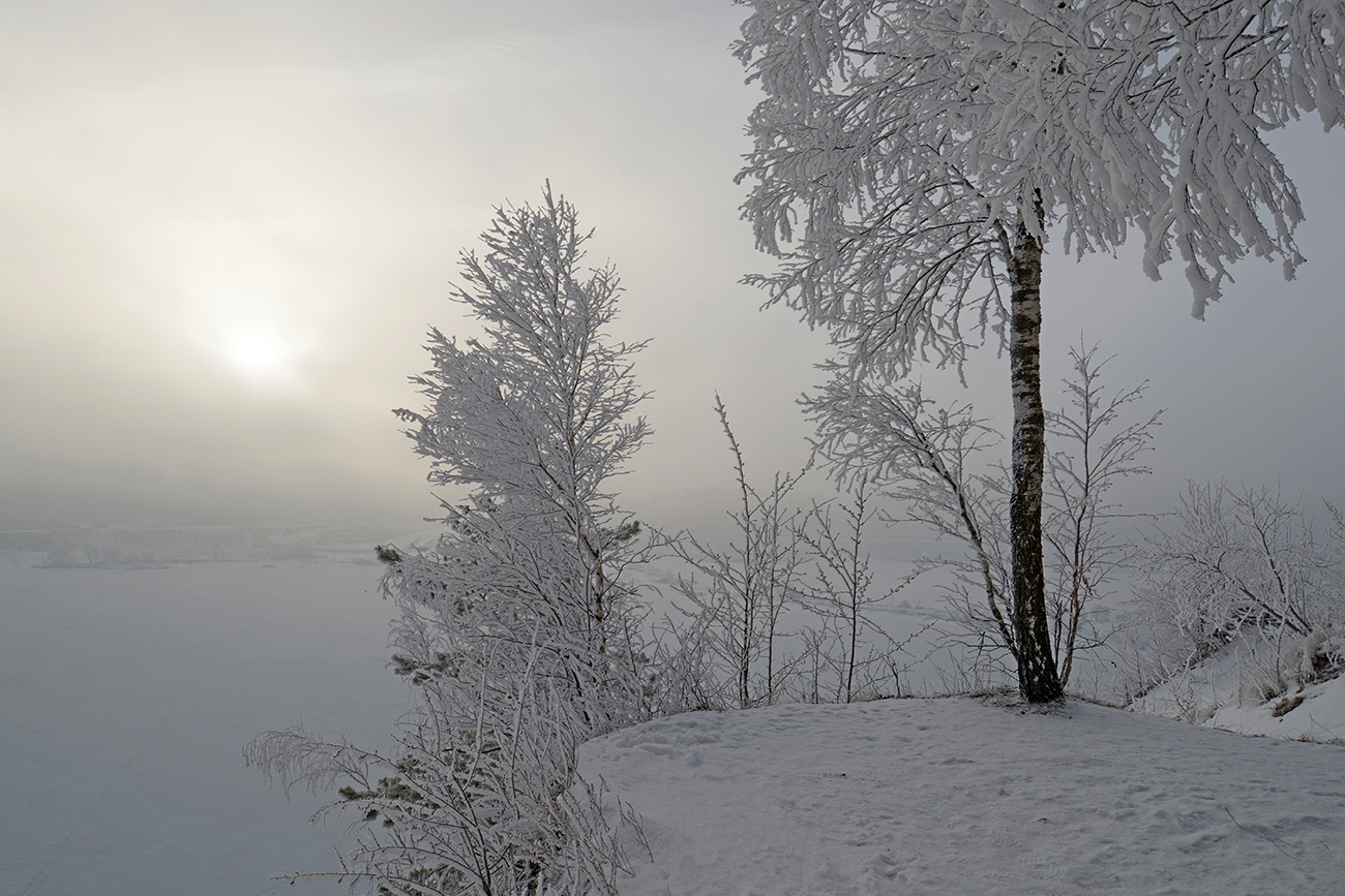 photo "***" tags: landscape, nature, forest, hoarfrost, winter, рассвет.