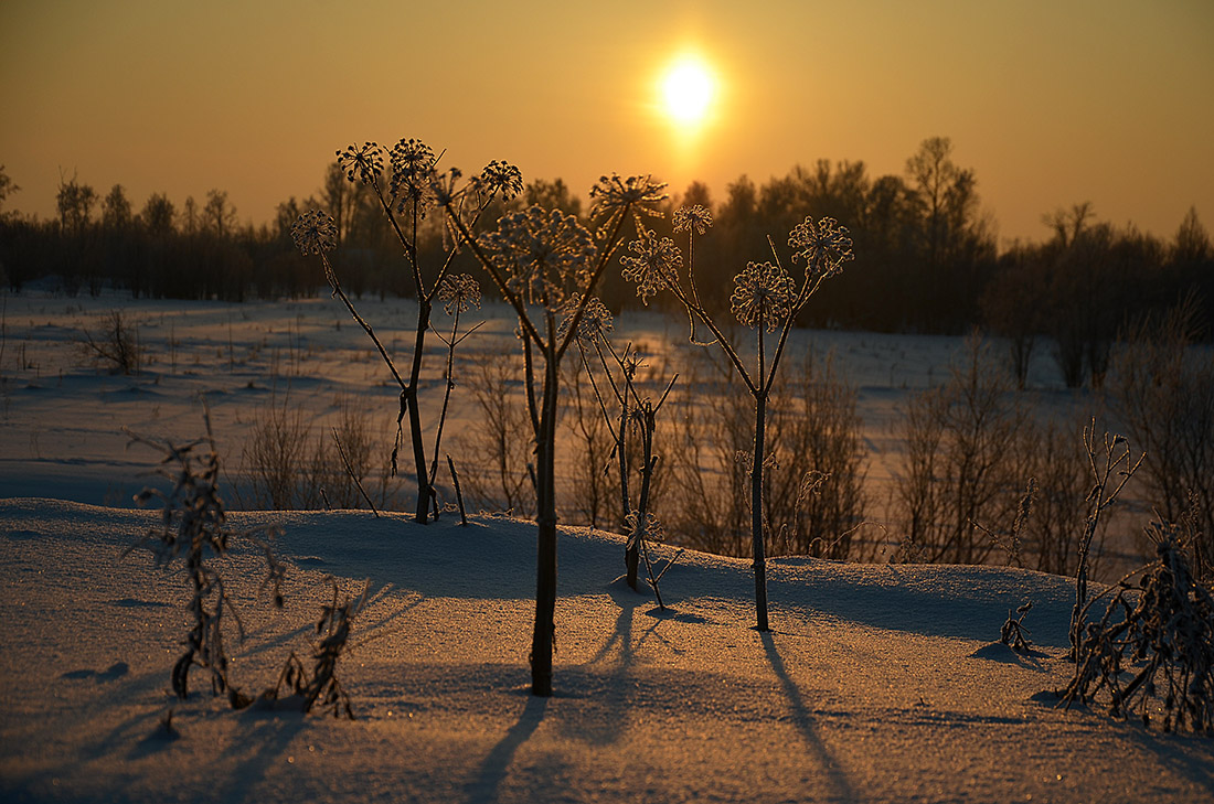 photo "***" tags: landscape, nature, winter