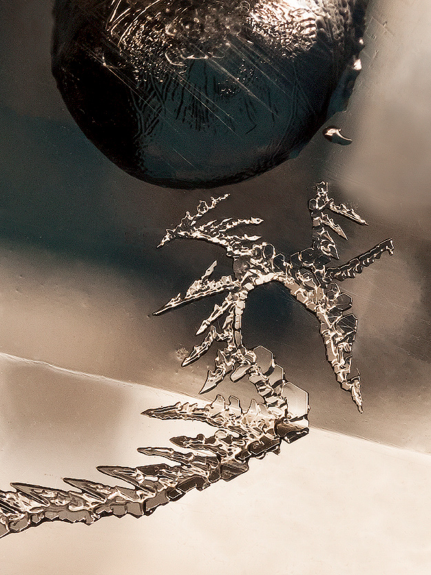 фото "Ледяной дракон" метки: макро и крупный план, разное, 