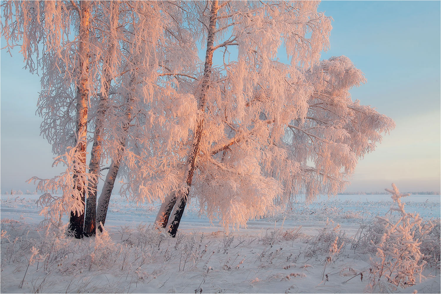 Русь сердцу дорога. Зимнее утро. Февральский пейзаж. Красота зимы. Красота русской зимы.