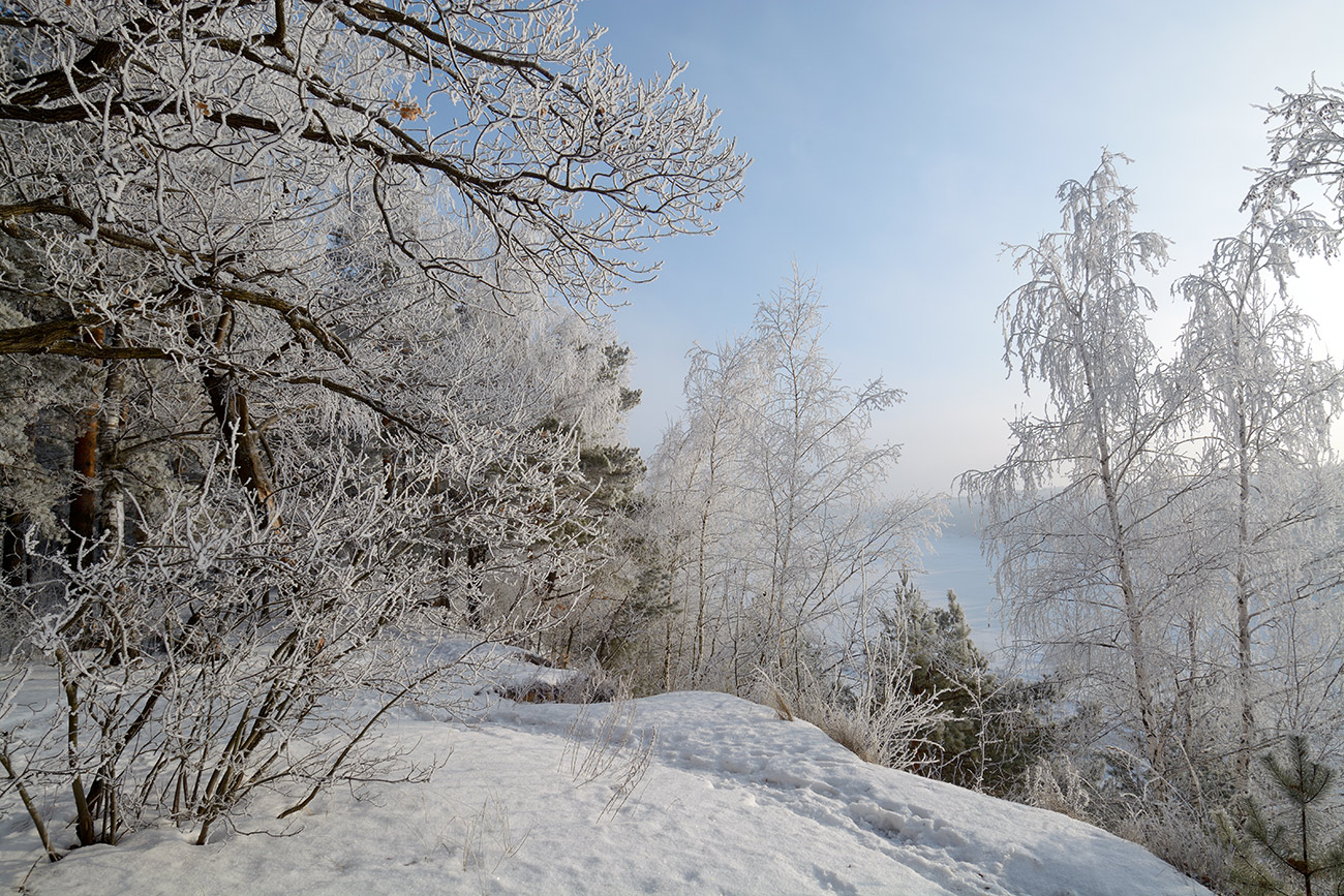 фото "Зимний день." метки: пейзаж, природа, зима, иней, лес