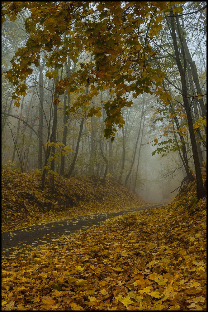 фото "Осень..." метки: пейзаж, 