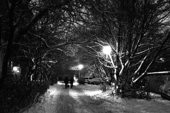 фото "Городские парки" метки: пейзаж, город, maslennikov, maslennikov dimitryu, obninsk, photo, Масленников, Масленников Дмитрий, Обнинск фотографии, зима, лес