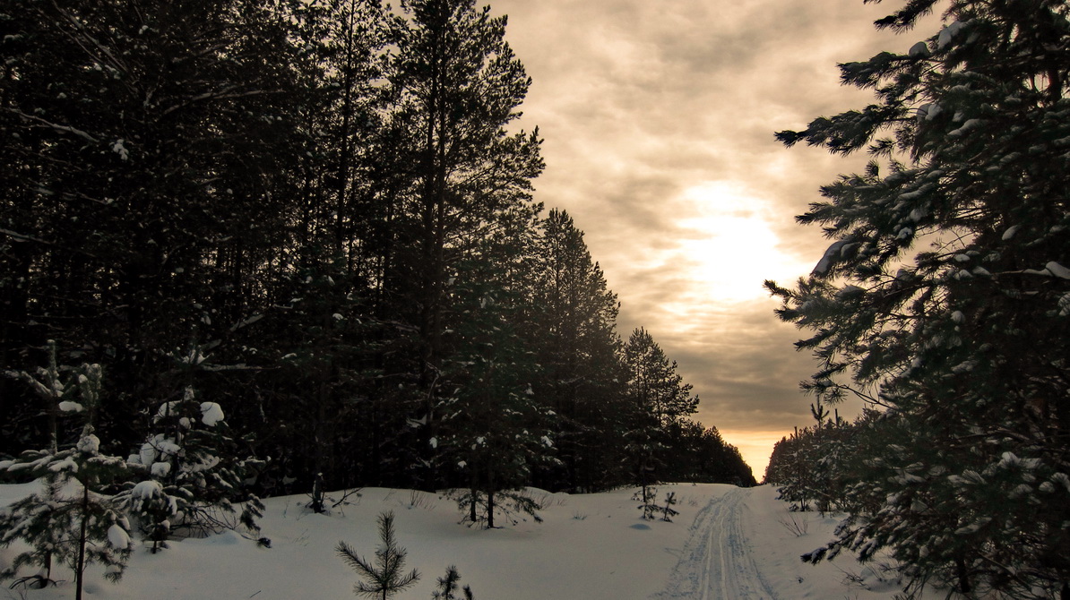 фото "Долгая дорога к дому" метки: пейзаж, зима, лес, мороз