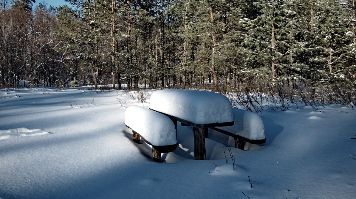 фото "Зимний сон" метки: пейзаж, зима, мороз