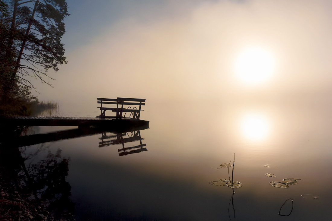 photo "In The Blank Slate" tags: landscape, fog, morning, август