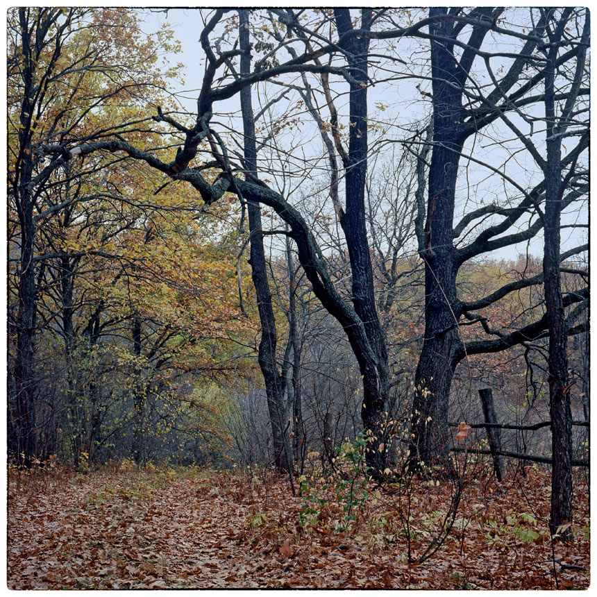 photo "***" tags: landscape, nature, 120, 6x6, TLR, Yashica Mat Em, film