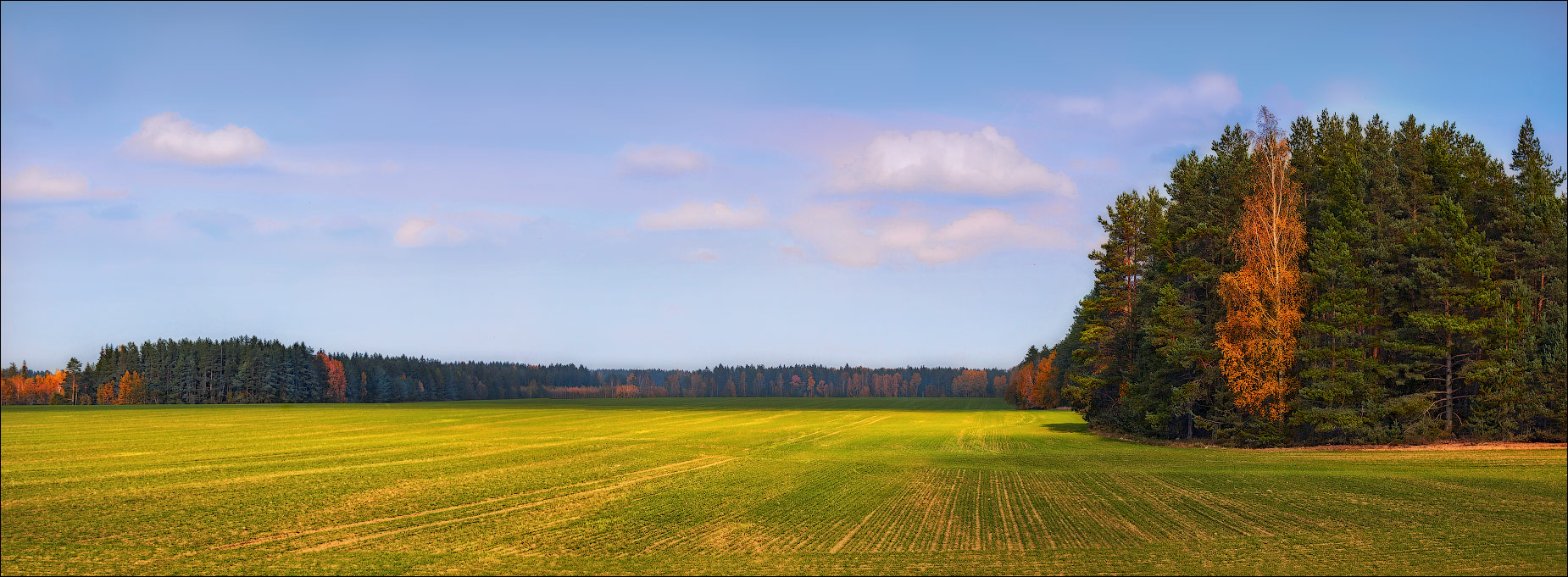 photo "***" tags: landscape, nature, autumn, field, forest