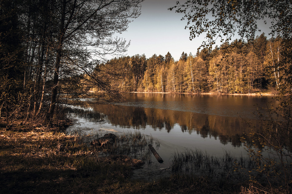 photo "***" tags: landscape, nature, travel, forest, sky, summer, water