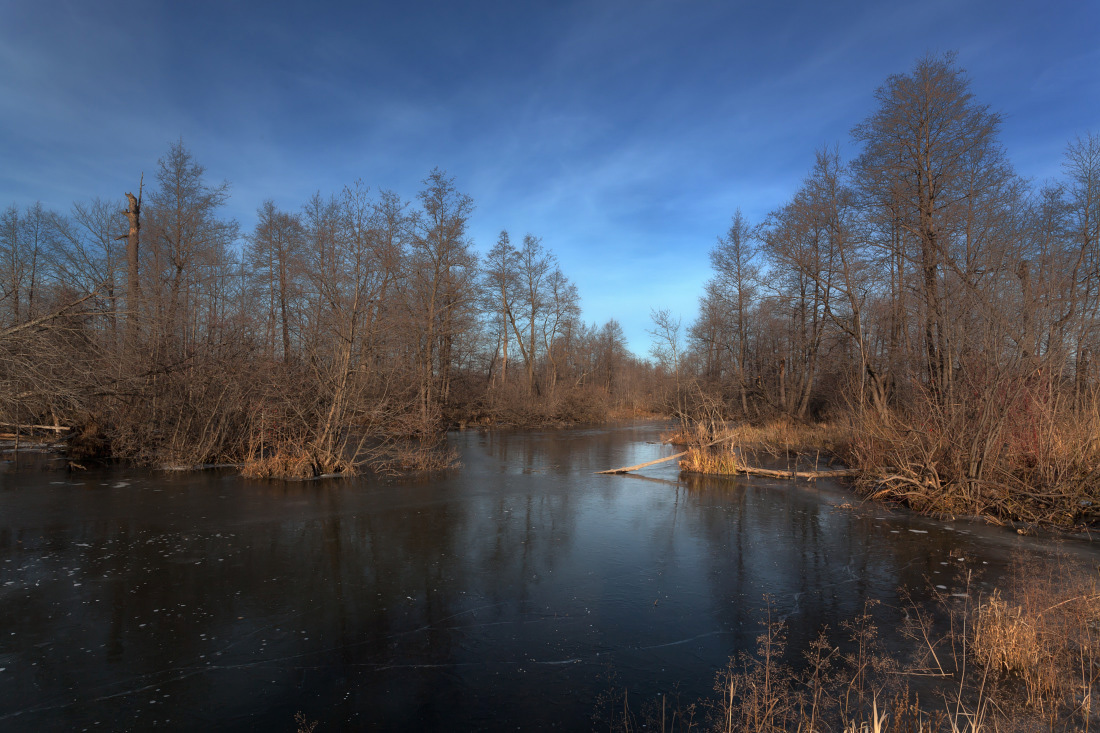 фото "Тонкий лед" метки: пейзаж, Речка, деревья, лед, лес, облака, осень