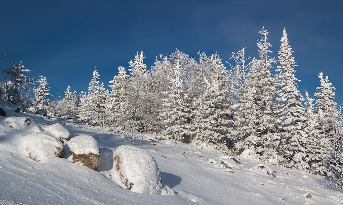 photo "***" tags: landscape, travel, nature, winter, г.Белая