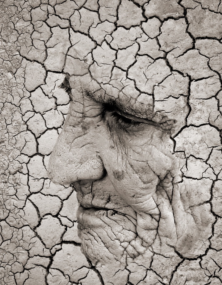 photo "The dryness" tags: digital art, 