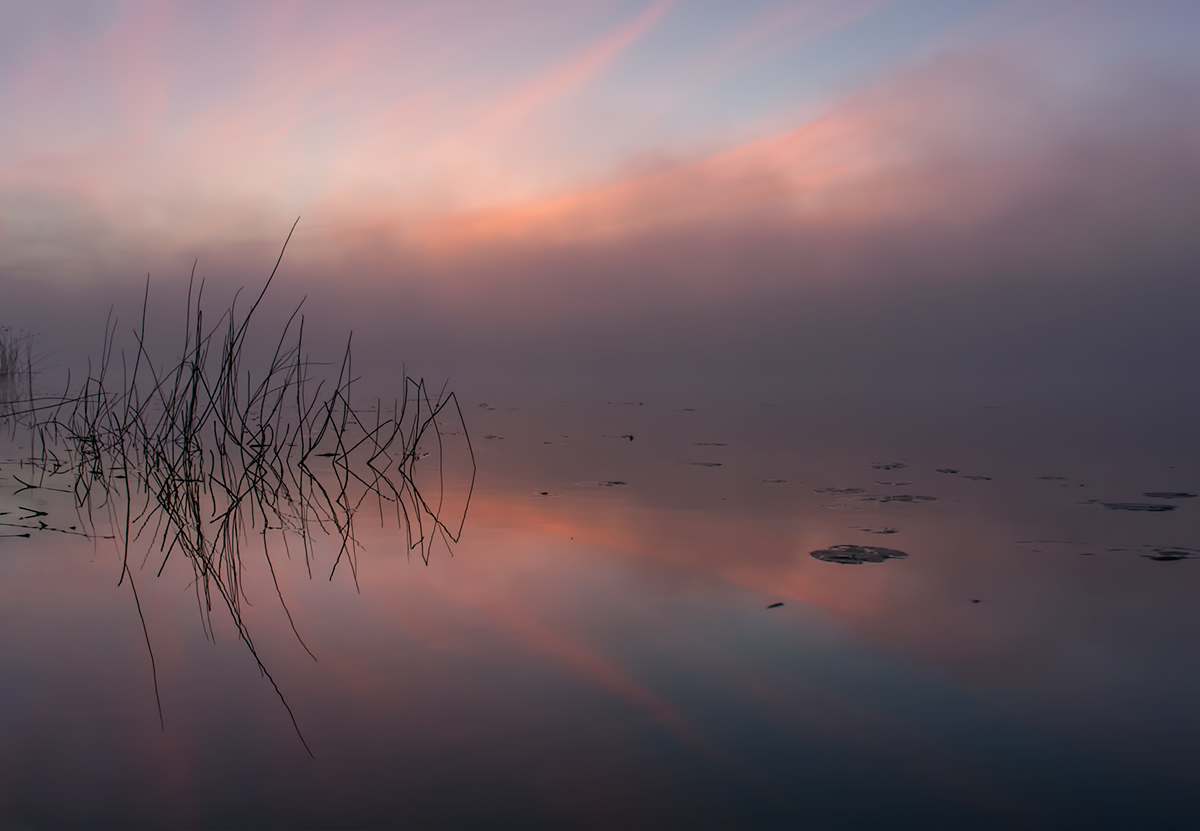 photo "***" tags: landscape, fog, sunrise, water, август