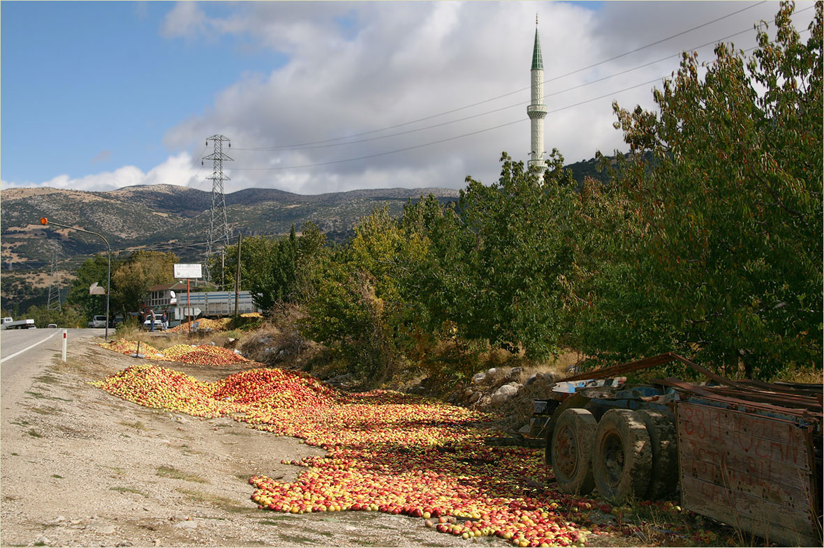 photo "The Good harvest :-)" tags: landscape, travel, nature, 