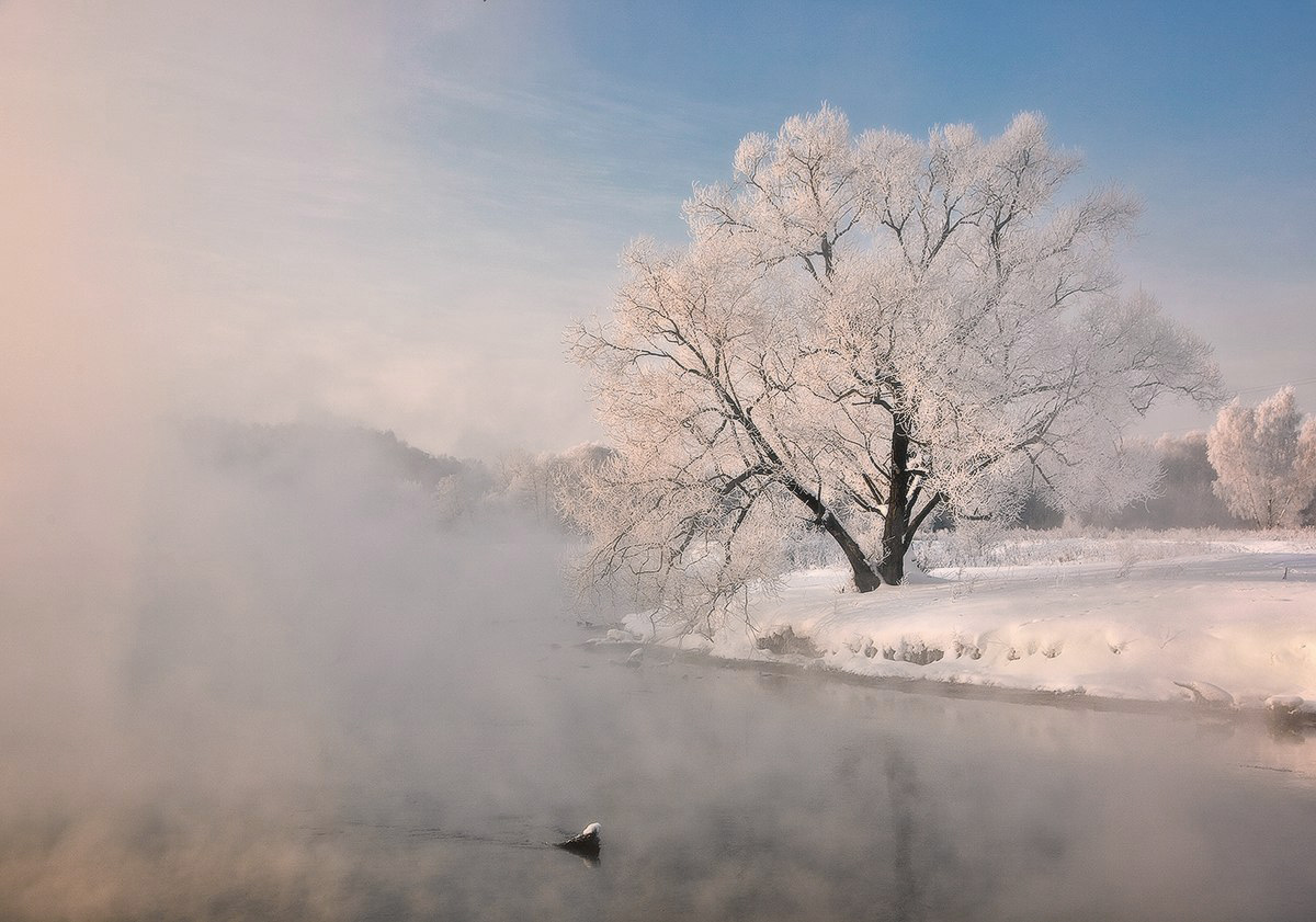 фото "Розовое утро" метки: , вода, дерево, зима, снег, утро