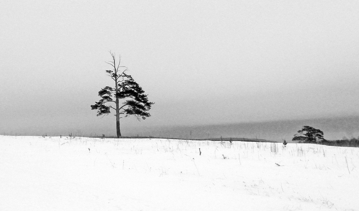 photo "***" tags: landscape, nature, black&white, Asia, Russia, sky, snow, winter, горизонт, мобилография, монохром, сибирь, силуэт