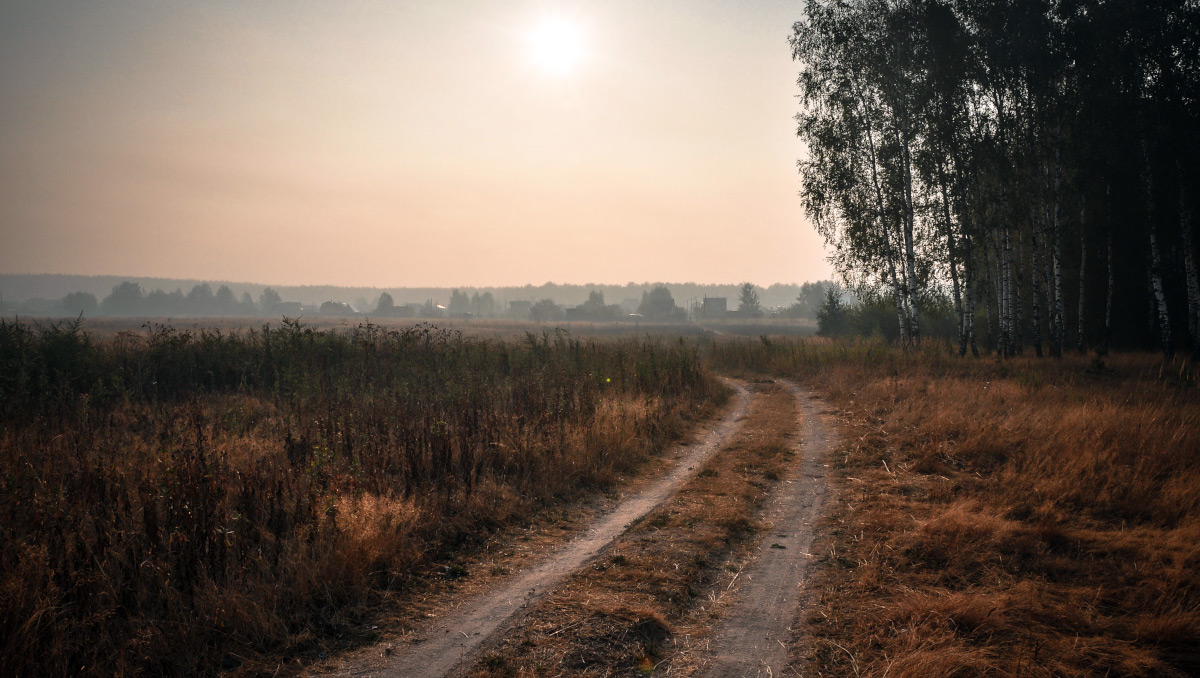 photo "***" tags: landscape, nature, forest, road, sky, summer, sun, деревня