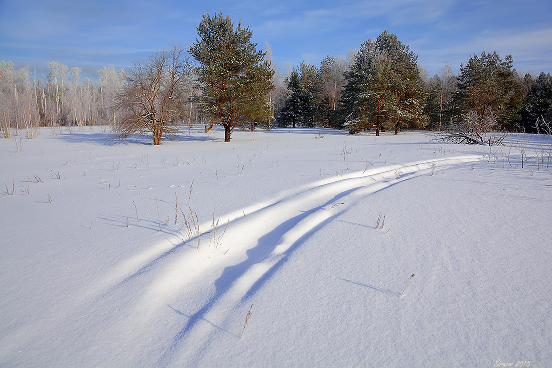 photo "Covered with snow" tags: landscape, nature, 