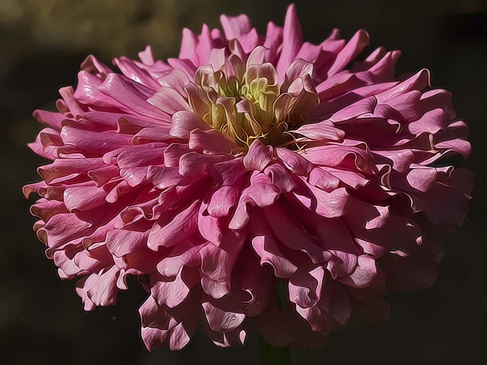 photo "***" tags: nature, flowers