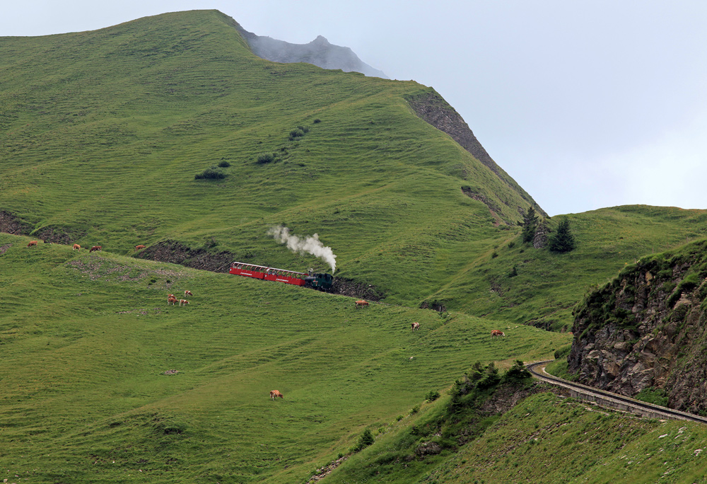 photo "Pastoral" tags: landscape, travel, Швейцария
