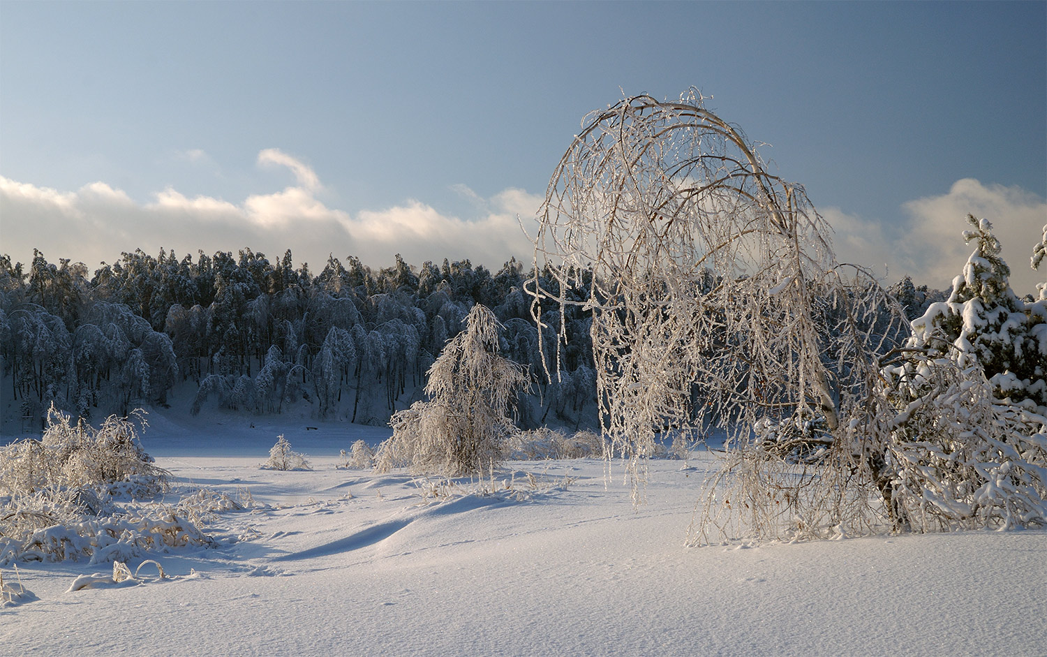 photo "***" tags: landscape, nature, forest, winter