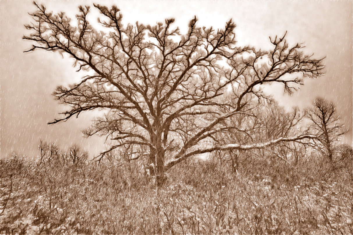 photo "***" tags: landscape, digital art, 