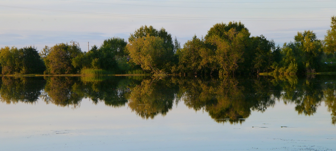 фото "Звуковая дорожка" метки: , 