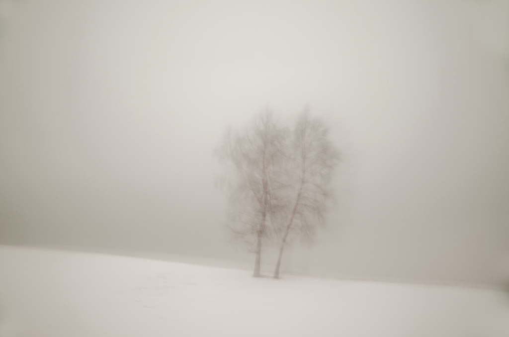 фото "Зимний минимализм" метки: пейзаж, природа, черно-белые, 
