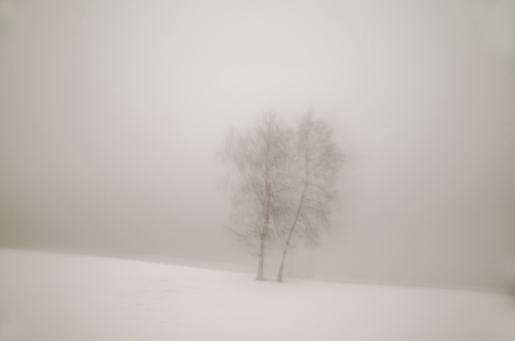 photo "Winter minimalism" tags: landscape, nature, black&white, 