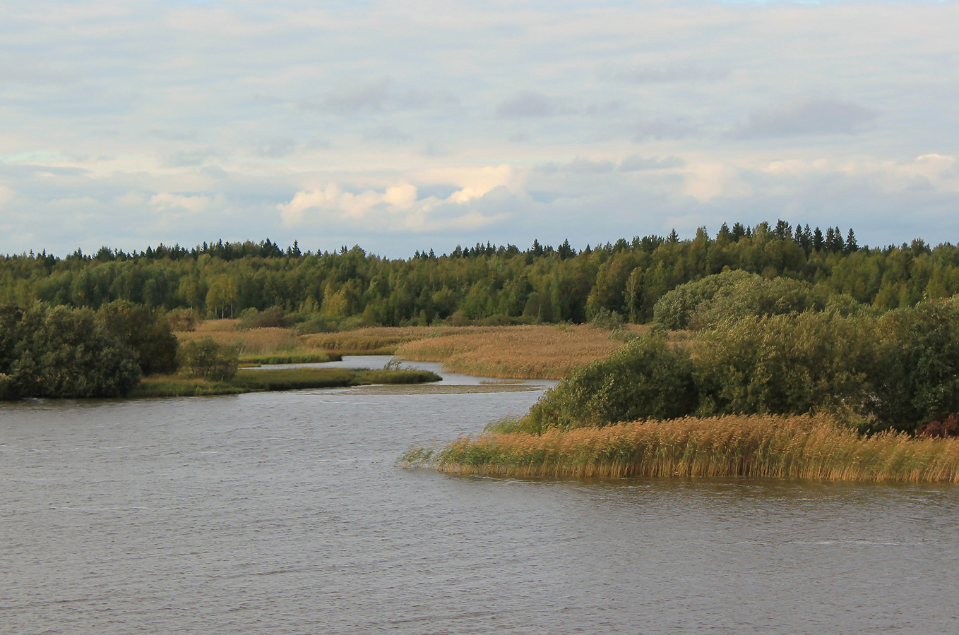 photo "Sheksna River. Volga-Baltic Waterway." tags: landscape, travel, nature, clouds, coast, river, september, Шексна, вбк