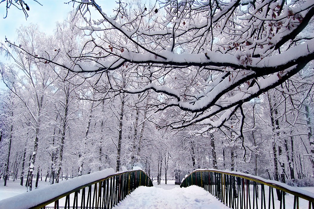 фото "Кружева  снегопада" метки: пейзаж, 