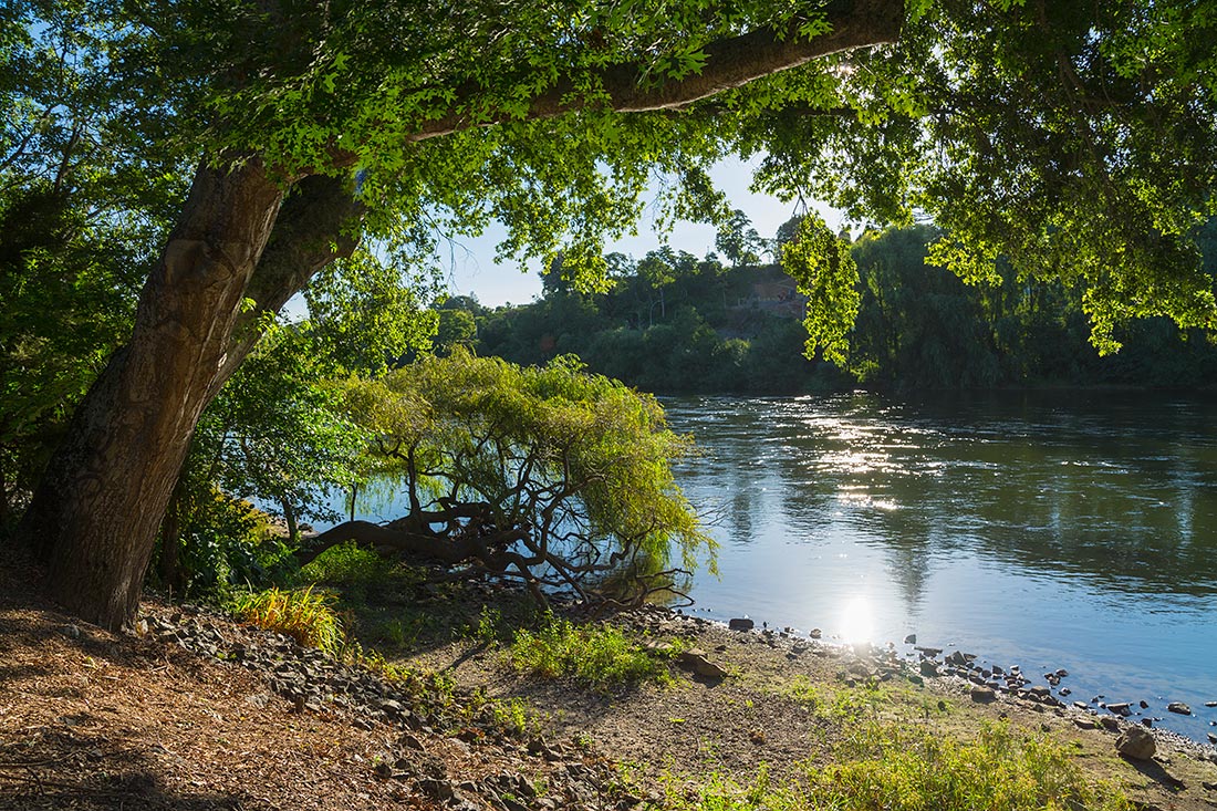 фото "У реки" метки: природа, пейзаж, New Zealand, sun, tree, вода, закат, река
