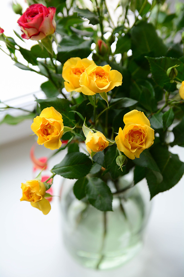 photo "***" tags: nature, misc., interior, 
