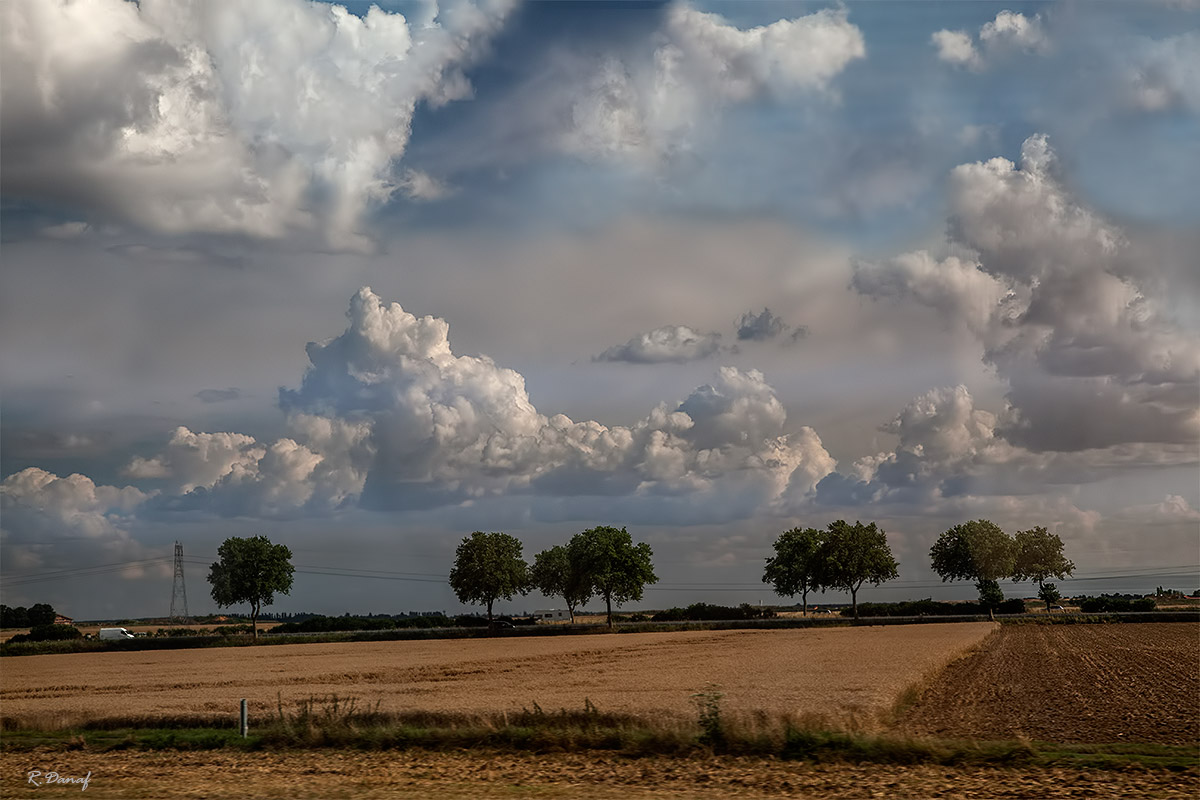 photo "Trees and clouds 2" tags: landscape, 