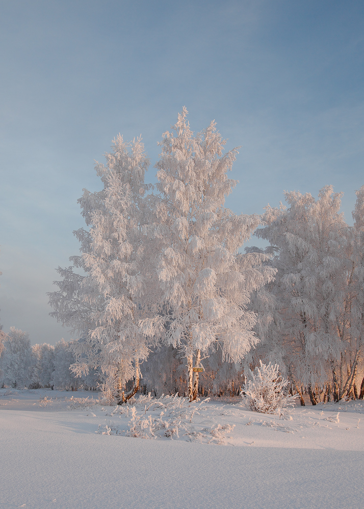 photo "***" tags: landscape, winter