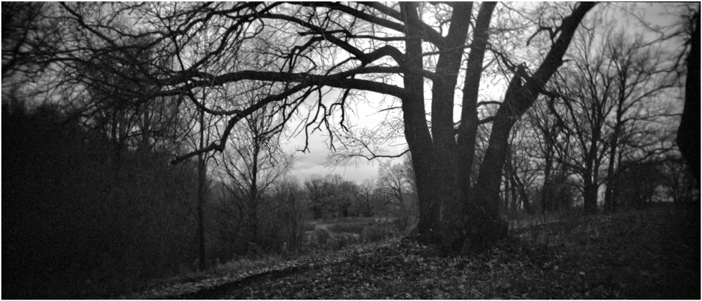 photo "***" tags: landscape, nature, black&white, 120, 6x12, Holga120Pan