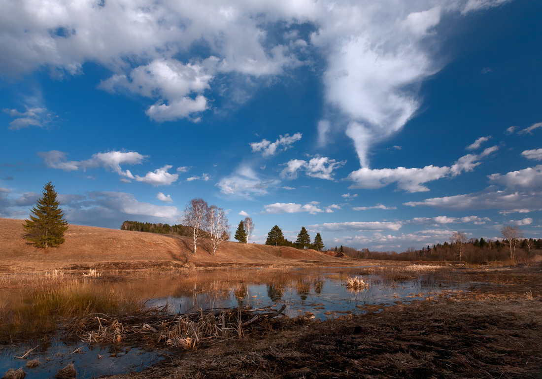 photo "***" tags: landscape, forest, sky, spring, Речка, деревья, склон