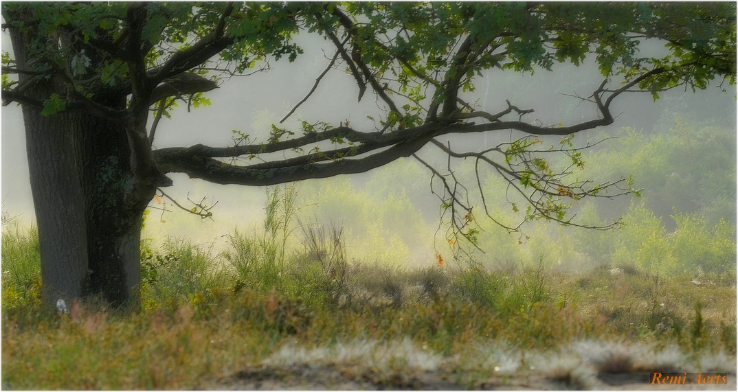 photo "***" tags: landscape, nature, 