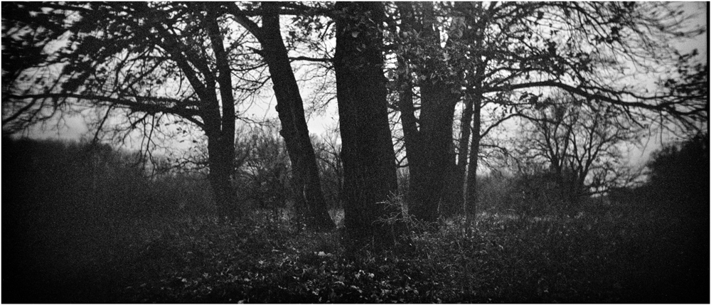 photo "***" tags: landscape, nature, black&white, 120, 6x12, Holga120Pan