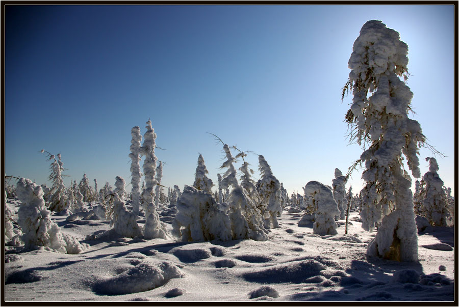 photo "***" tags: landscape, taiga, winter, мороз