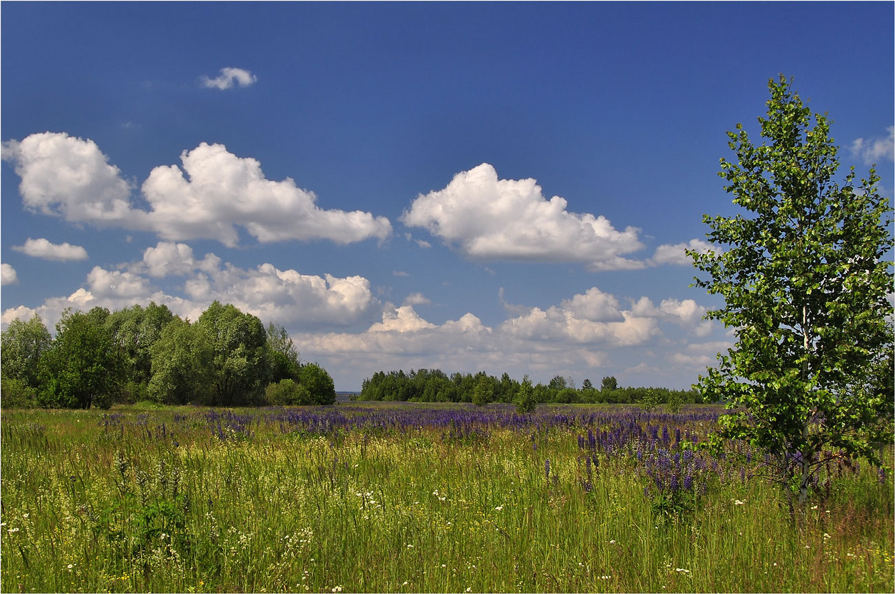 photo "***" tags: landscape, nature, travel, 