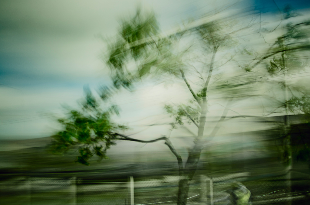 photo "Waltz" tags: landscape, nature, abstract, 