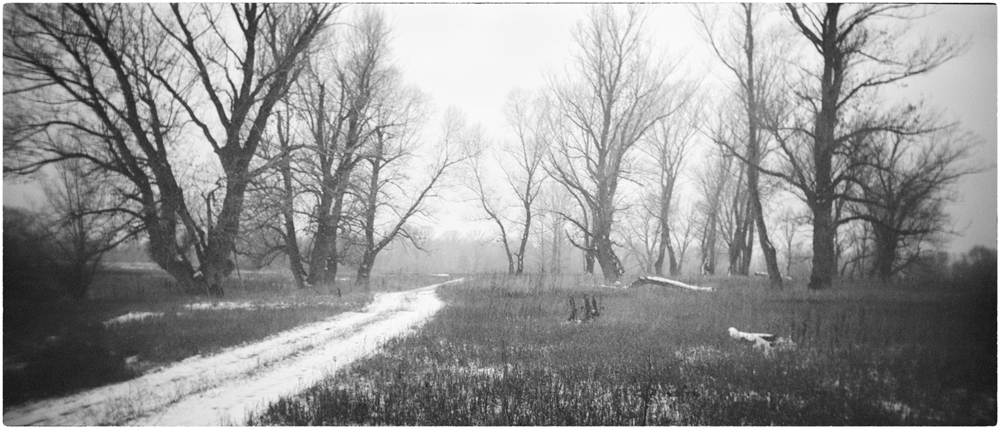 photo "***" tags: landscape, nature, black&white, 120, 6x12, Holga120Pan